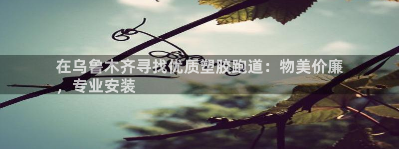 尊龙集团有限公司官网地址：在乌鲁木齐寻找优质塑胶跑道