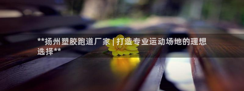 KB88凯时官网：**扬州塑胶跑道厂家 | 打造专业