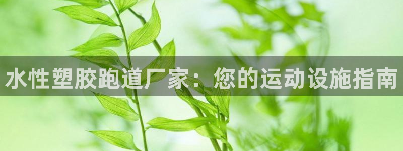尊龙登录地址：水性塑胶跑道厂家：您的运动设施指南