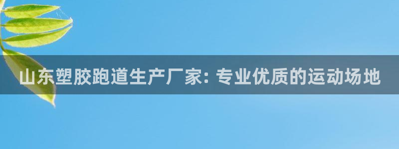 尊龙凯时注册：山东塑胶跑道生产厂家: 专业优质的运动场地