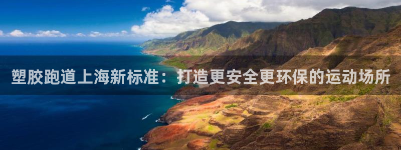 尊龙目前情况：塑胶跑道上海新标准：打造更安全更环保的运动场所