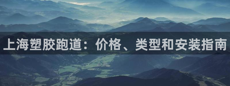 尊龙一生也走不出自己的童年：上海塑胶跑道：价格、类型和安装指南