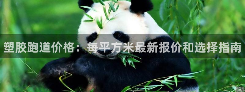 尊龙凯时福米推荐人：塑胶跑道价格：每平方米最新报价和选择指南