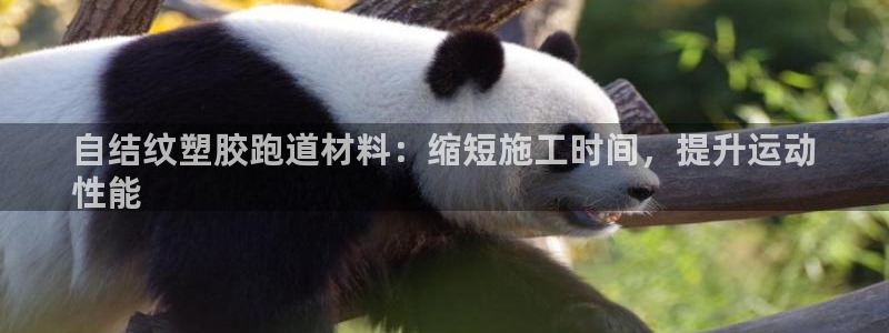 尊龙凯时下载人生就是博：自结纹塑胶跑道材料：缩短施工时间，提升运动
性能
