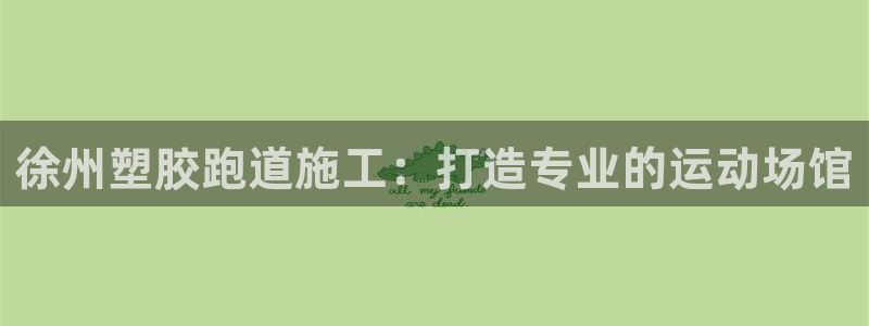 尊龙凯时z6官网：徐州塑胶跑道施工：打造专业的运动场馆