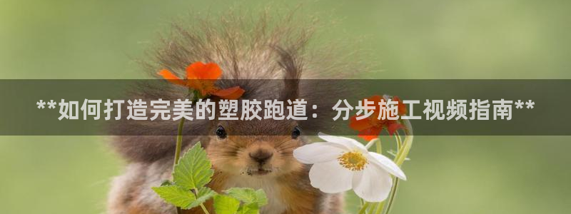 凯时K66最新版本下载：**如何打造完美的塑胶跑道：