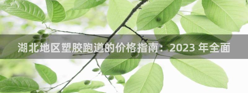 尊龙凯时输了100万：湖北地区塑胶跑道的价格指南：2023 年全面