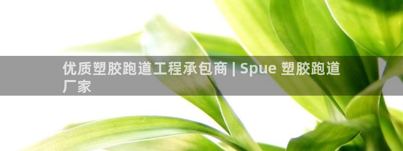 尊龙凯时赞助：优质塑胶跑道工程承包商 | Spue 