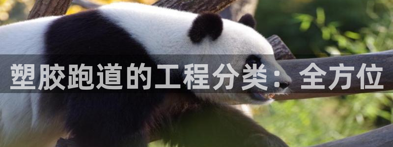 凯时国际网站域名：塑胶跑道的工程分类：全方位