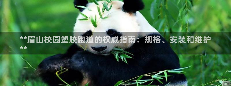 尊龙官网：**眉山校园塑胶跑道的权威指南：规格、安装和维护
**