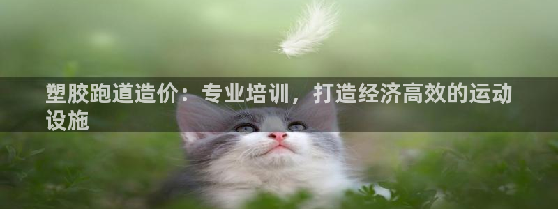 尊龙AG旗舰厅app下载：塑胶跑道造价：专业培训，打