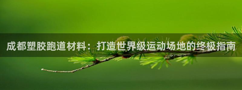 尊龙人生就是搏：成都塑胶跑道材料：打造世界级运动场地