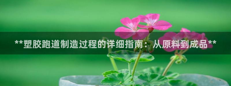 凯时kb88·中国官方网站：**塑胶跑道制造过程的详细指南：从原料到成品**