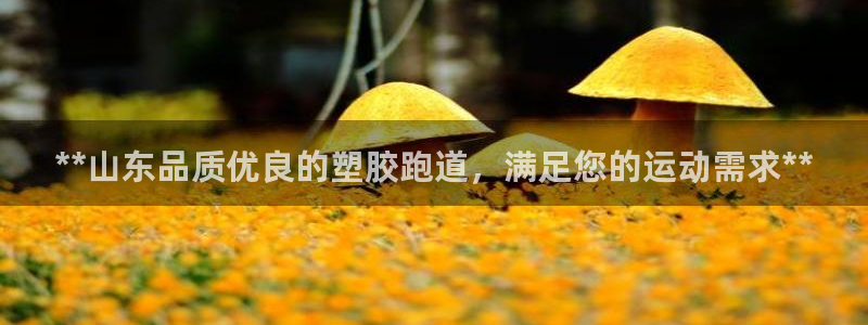 尊龙官方APP下载：**山东品质优良的塑胶跑道，满足您的运动需求**