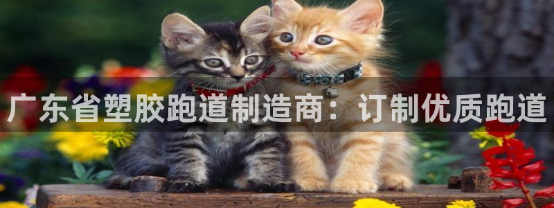 尊龙d88现金关注ag发财网：广东省塑胶跑道制造商：订制优质跑道