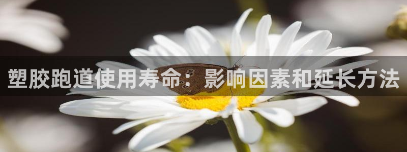 尊龙ag旗舰官网：塑胶跑道使用寿命：影响因素和延长方