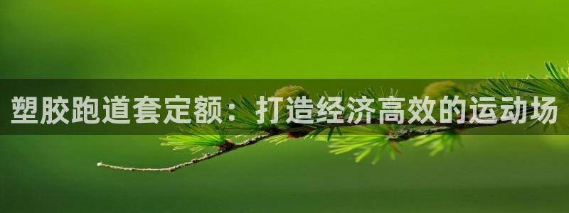 尊龙人生就是博AG旗舰厅：塑胶跑道套定额：打造经济高效的运动场