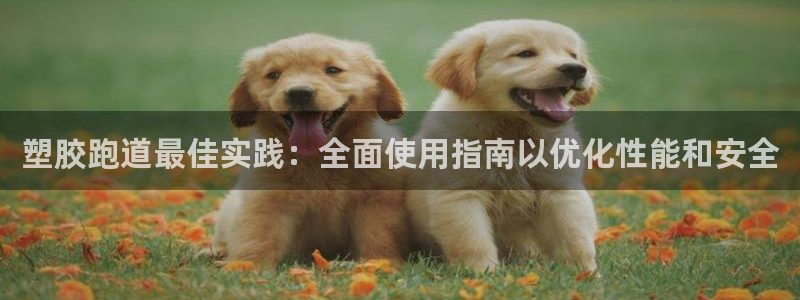 尊龙目前在哪：塑胶跑道最佳实践：全面使用指南以优化性能和安全