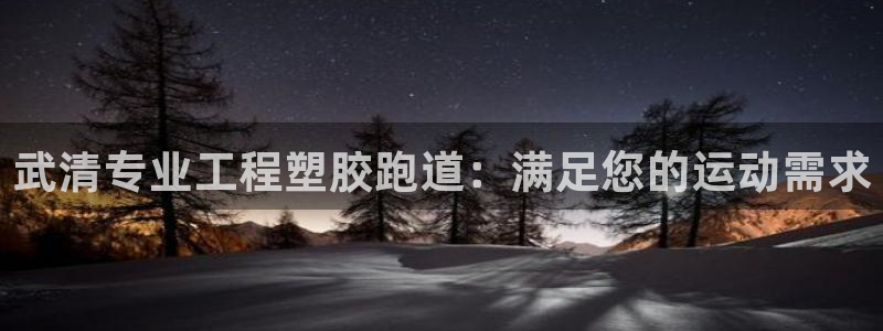 尊龙手机官方客户端下载安装：武清专业工程塑胶跑道：满足您的运动需求