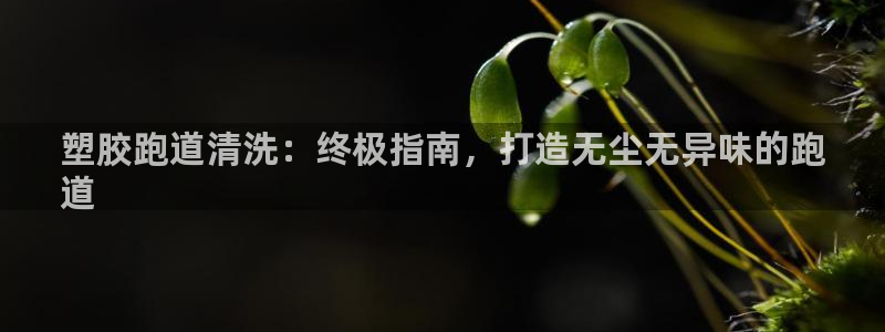 尊龙d88会员：塑胶跑道清洗：终极指南，打造无尘无异味的跑
道