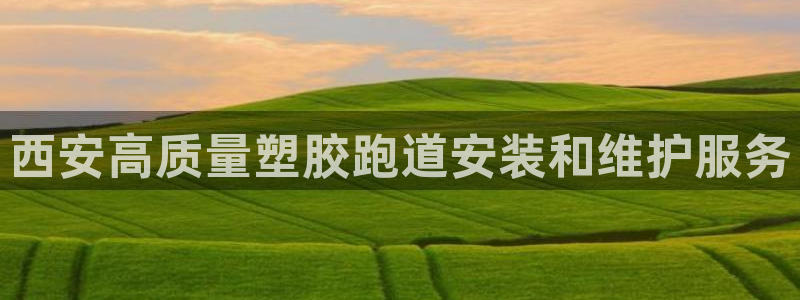 尊龙AG旗舰厅APP：西安高质量塑胶跑道安装和维护服务