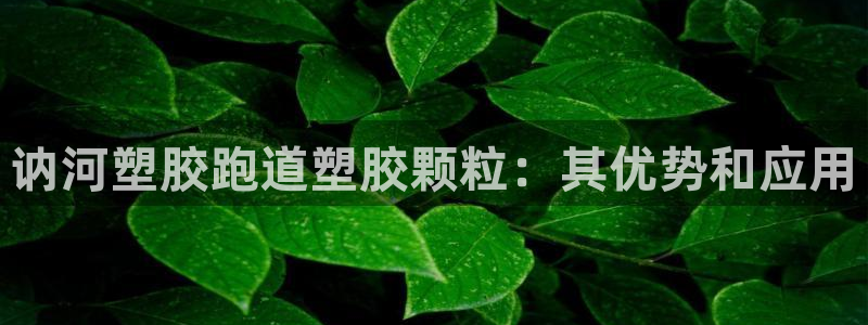 凯时国际网站域名：讷河塑胶跑道塑胶颗粒：其优势和应用