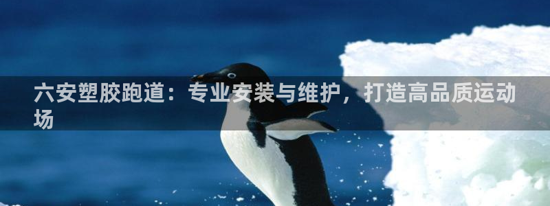 尊龙 ag：六安塑胶跑道：专业安装与维护，打造高品质运动
场