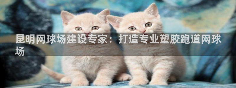 尊龙凯时合法吗?：昆明网球场建设专家：打造专业塑胶跑道网球
场