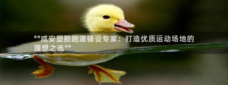 尊龙凯时的企业文化：**咸安塑胶跑道铺设专家：打造优