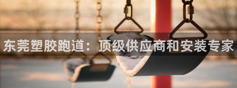 尊龙凯时电竞：东莞塑胶跑道：顶级供应商和安装专家