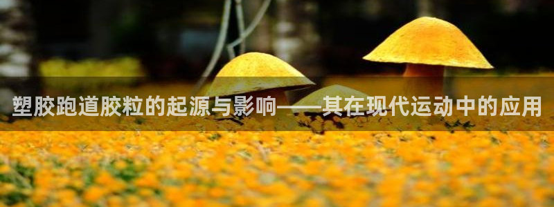 尊龙官网登录·(中国)官方网站-bd SPORTS