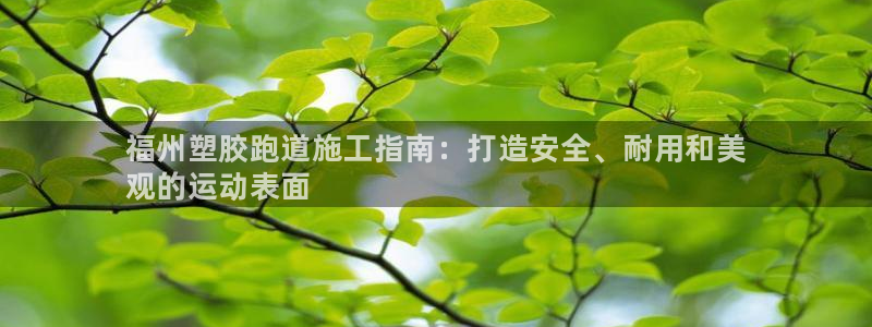 尊龙网址是选访问zd207：福州塑胶跑道施工指南：打造安全、耐用和美
观的运动表面