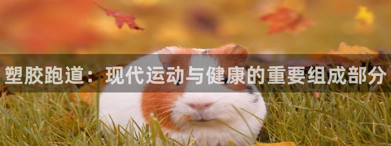 尊龙凯时充值不到账