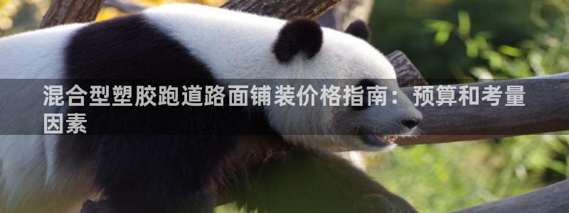 尊龙凯时官网网页版：混合型塑胶跑道路面铺装价格指南：