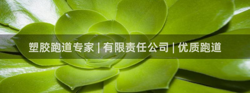 尊龙凯时品牌介绍：塑胶跑道专家 | 有限责任公司 |