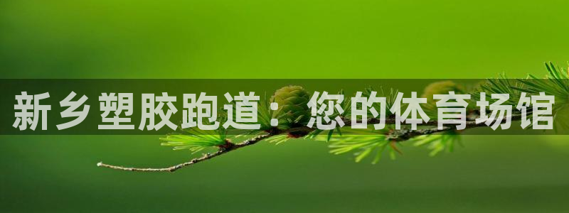 尊龙凯时官网版登录：新乡塑胶跑道：您的体育场馆