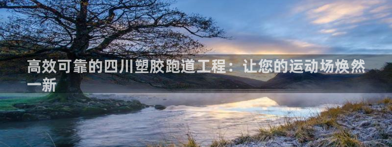 尊龙集团有限公司招聘：高效可靠的四川塑胶跑道工程：让您的运动