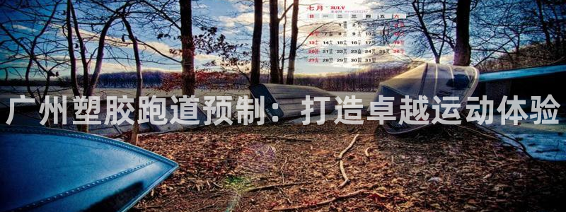 凯时平台登录：广州塑胶跑道预制：打造卓越运动体验