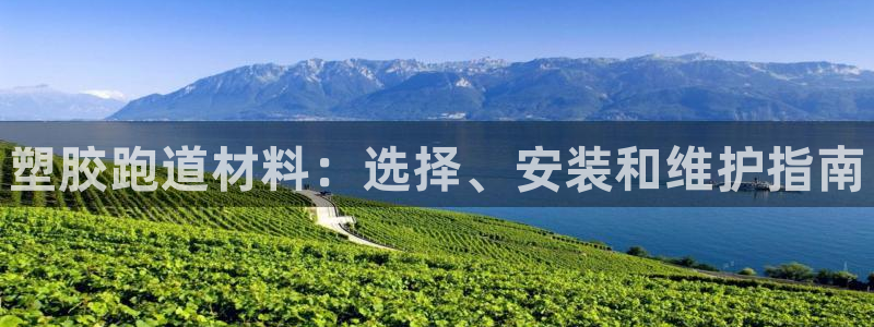 尊龙z6官网ag：塑胶跑道材料：选择、安装和维护指南