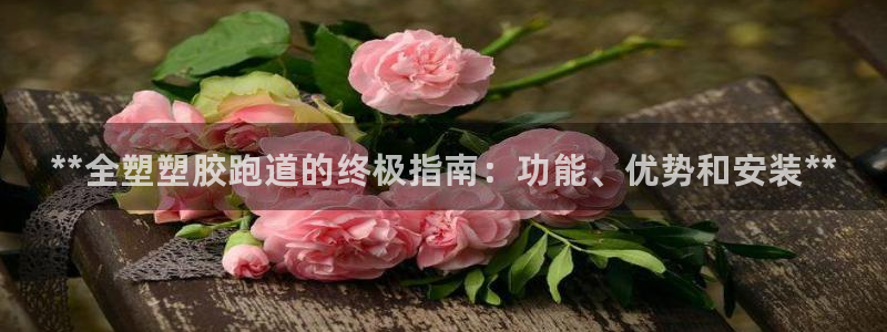 尊龙会ktv价格：**全塑塑胶跑道的终极指南：功能、优势和安