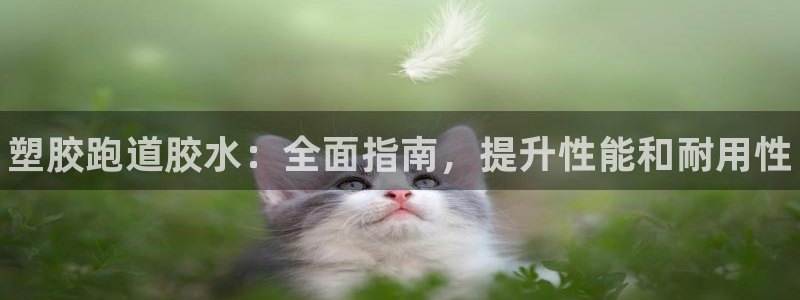 尊龙人生就要博旧版：塑胶跑道胶水：全面指南，提升性能和耐用性