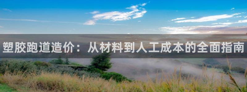 尊龙凯时网站是什么地方人开的：塑胶跑道造价：从材料到人工成本