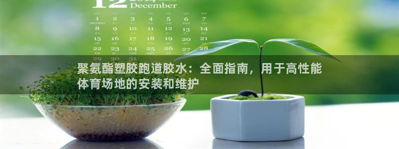 尊龙凯时有限公司：聚氨酯塑胶跑道胶水：全面指南，用于