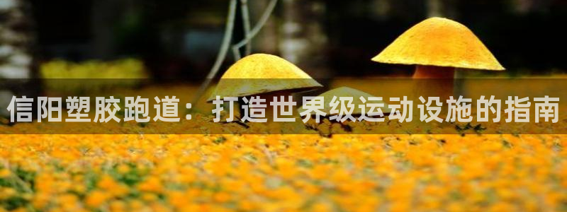 尊龙d88官网去来就送38：信阳塑胶跑道：打造世界级