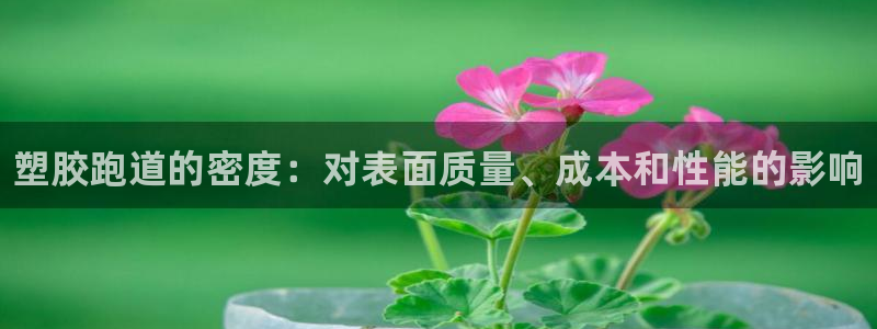 尊龙新版app首页：塑胶跑道的密度：对表面质量、成本和性能的影响