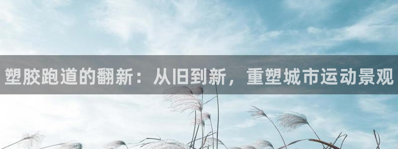 d88尊龙官网登录免费下载：塑胶跑道的翻新：从旧到新，重塑城市运动景观