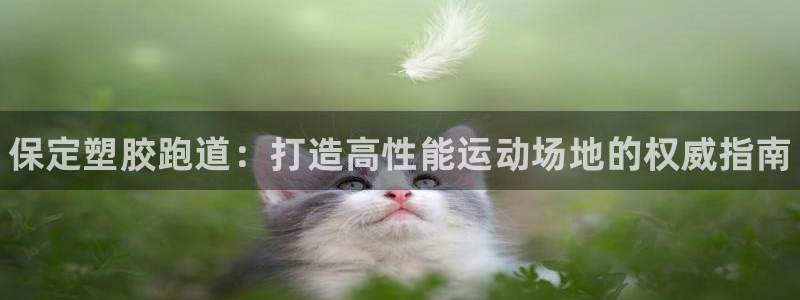 尊龙凯时怎么注销账号：保定塑胶跑道：打造高性能运动场