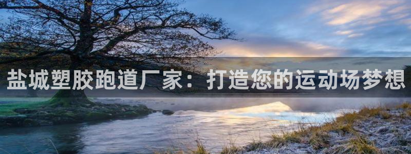 尊龙官方网站首页：盐城塑胶跑道厂家：打造您的运动场梦