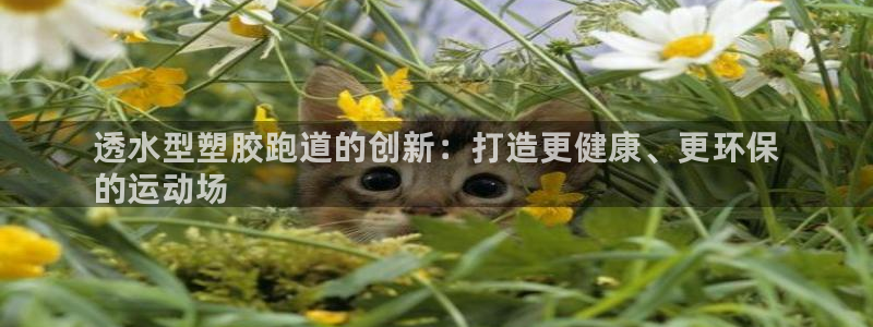 尊龙最经典的三个角色：透水型塑胶跑道的创新：打造更健康、更环保
的运动场