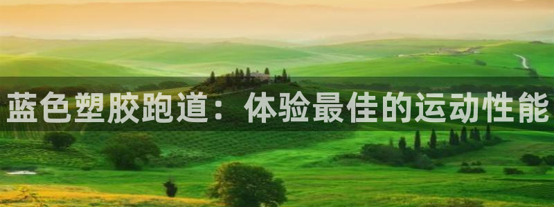 尊龙400：蓝色塑胶跑道：体验最佳的运动性能